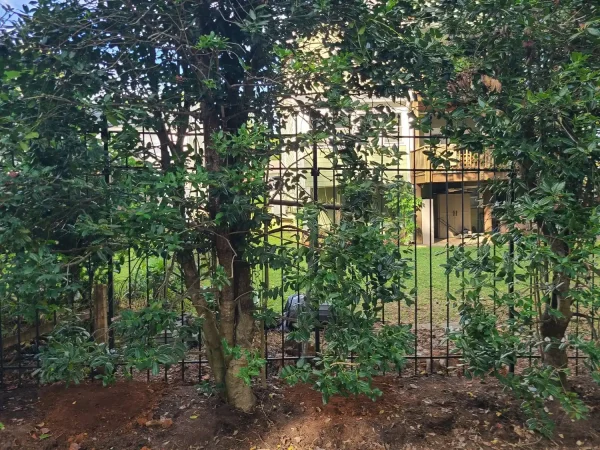 Mighty Tall Fence